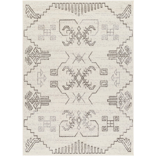 Surya Pisa PSS-2359 Light Gray Global  Rug