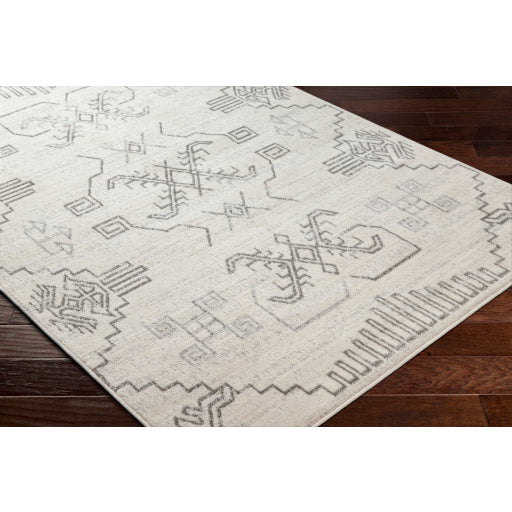 Surya Pisa PSS-2359 Light Gray Global  Rug