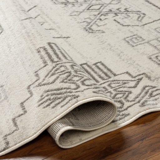 Surya Pisa PSS-2359 Light Gray Global  Rug