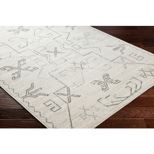 Surya Pisa PSS-2361 Light Gray Global  Rug