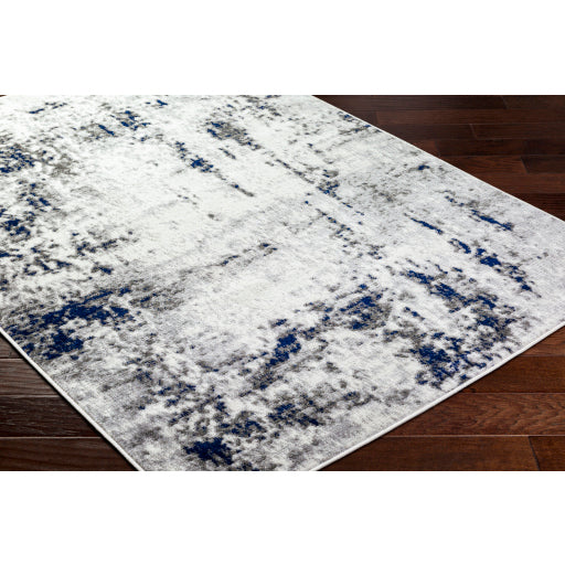 Surya Pisa PSS-2372 Light Gray Modern  Rug