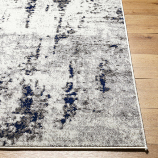 Surya Pisa PSS-2372 Light Gray Modern  Rug