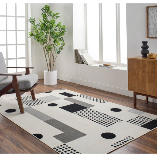 Surya Pisa PSS-2383 Light Gray Modern  Rug