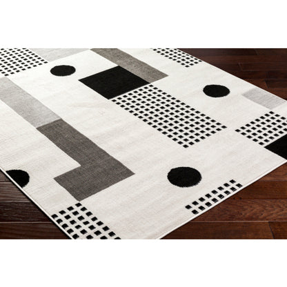 Surya Pisa PSS-2383 Light Gray Modern  Rug
