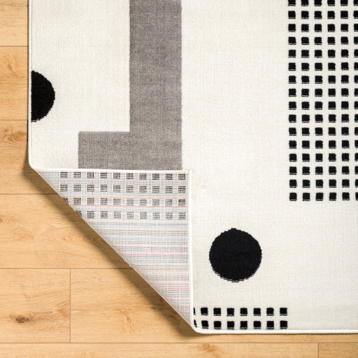Surya Pisa PSS-2383 Light Gray Modern  Rug