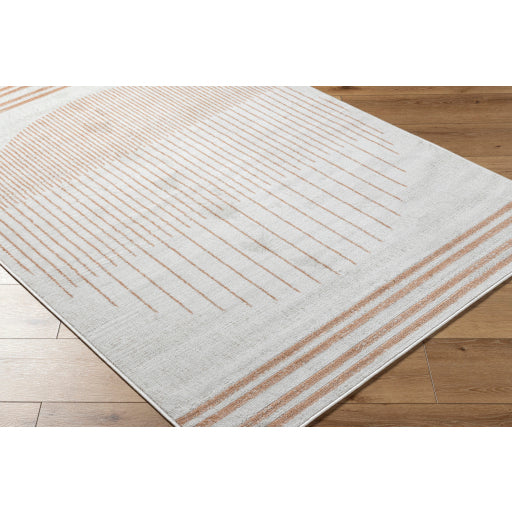 Surya Pisa PSS-2387 Light Gray Modern  Rug