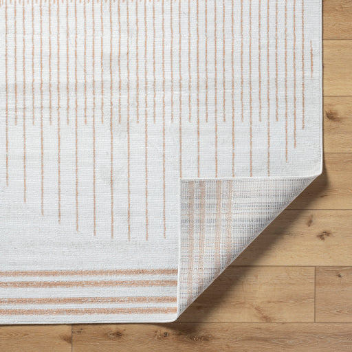 Surya Pisa PSS-2387 Light Gray Modern  Rug