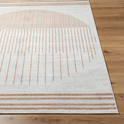 Surya Pisa PSS-2387 Light Gray Modern  Rug