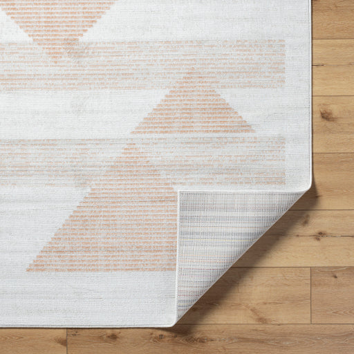 Surya Pisa PSS-2389 Light Gray Modern  Rug