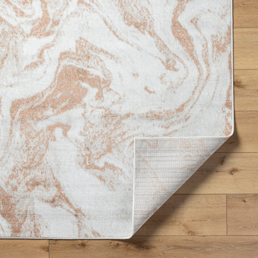 Surya Pisa PSS-2391 Light Gray Modern  Rug