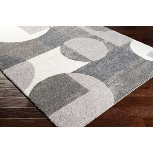 Surya Portofino PTF-2302 Gray Modern  Rug