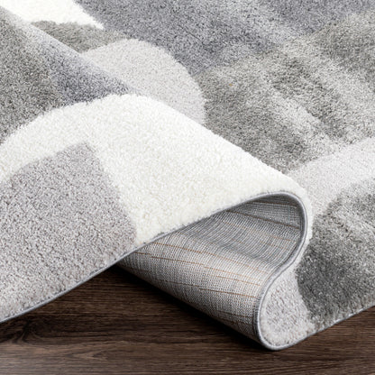 Surya Portofino PTF-2302 Gray Modern  Rug