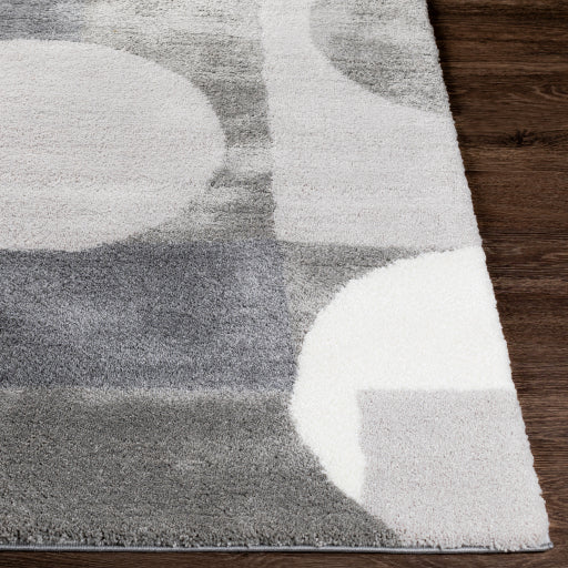 Surya Portofino PTF-2302 Gray Modern  Rug