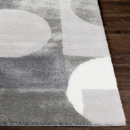 Surya Portofino PTF-2302 Gray Modern  Rug