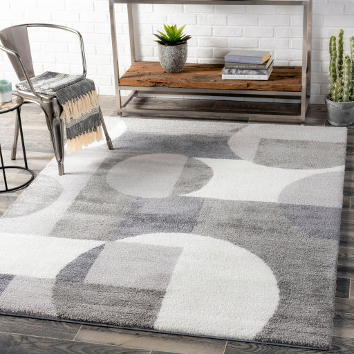 Surya Portofino PTF-2302 Gray Modern  Rug