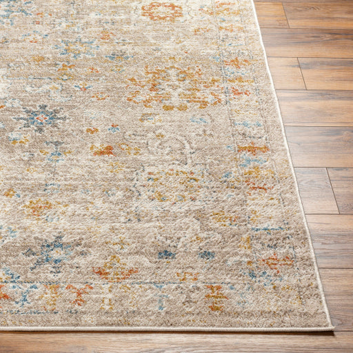 Surya Pertek PTK-2304 Gray Traditional  Rug