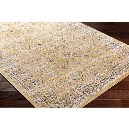 Surya Pertek PTK-2305 Dark Brown Traditional  Rug