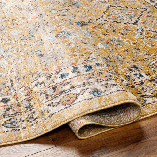 Surya Pertek PTK-2305 Dark Brown Traditional  Rug