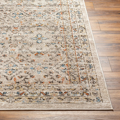Surya Pertek PTK-2306 Taupe Traditional  Rug