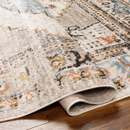 Surya Pertek PTK-2311 Taupe Traditional  Rug