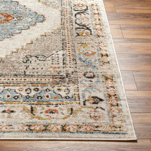 Surya Pertek PTK-2311 Taupe Traditional  Rug