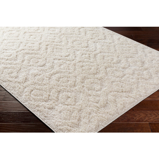 Surya Rodos RDO-2300 Beige Modern  Rug