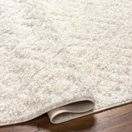 Surya Rodos RDO-2300 Beige Modern  Rug