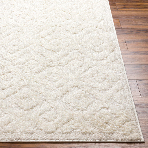 Surya Rodos RDO-2300 Beige Modern  Rug