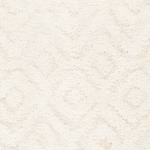 Surya Rodos RDO-2300 Beige Modern  Rug