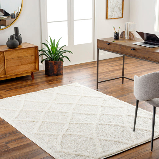 Surya Rodos RDO-2301 Beige Modern  Rug