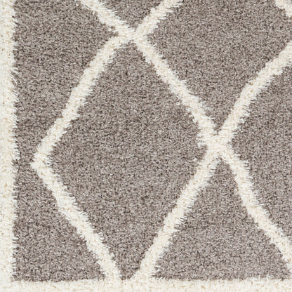 Surya Rodos RDO-2303 Charcoal Modern  Rug