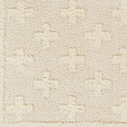 Surya Rodos RDO-2304 Beige Modern  Rug