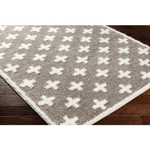 Surya Rodos RDO-2305 Charcoal Modern  Rug