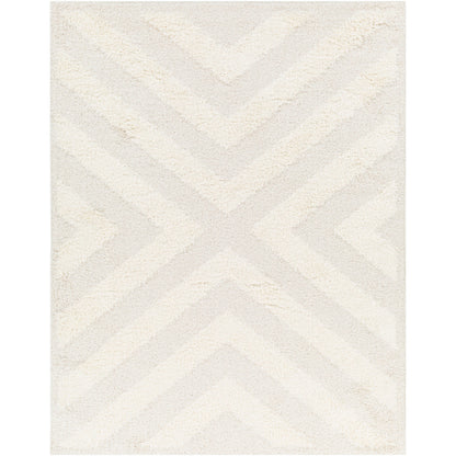 Surya Rodos RDO-2308 Beige Modern  Rug