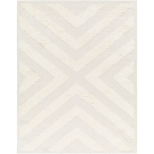 Surya Rodos RDO-2308 Beige Modern  Rug