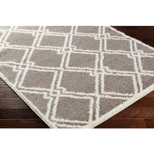 Surya Rodos RDO-2313 Charcoal Modern  Rug