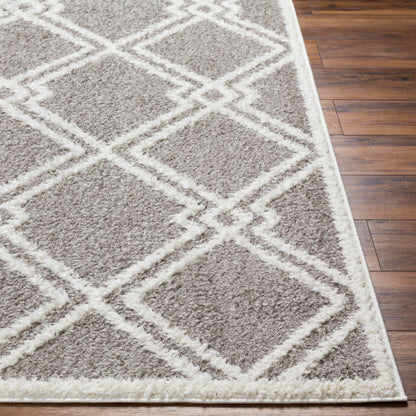 Surya Rodos RDO-2313 Charcoal Modern  Rug