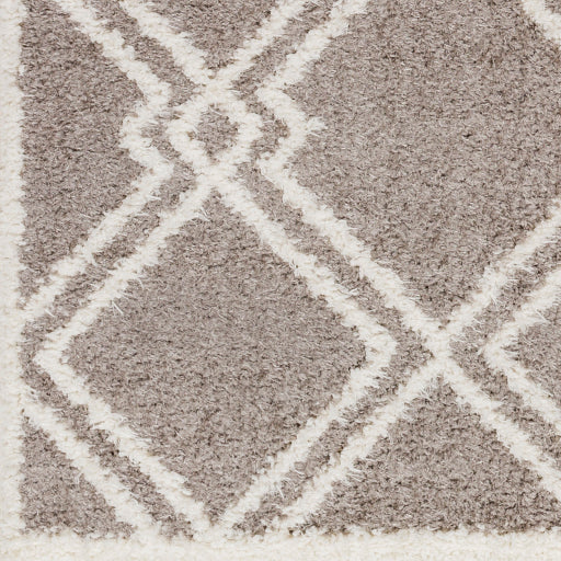 Surya Rodos RDO-2313 Charcoal Modern  Rug