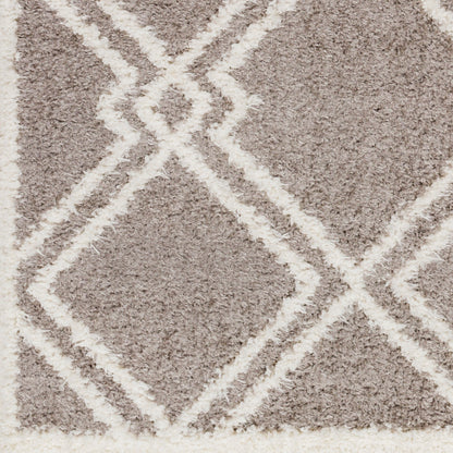 Surya Rodos RDO-2313 Charcoal Modern  Rug