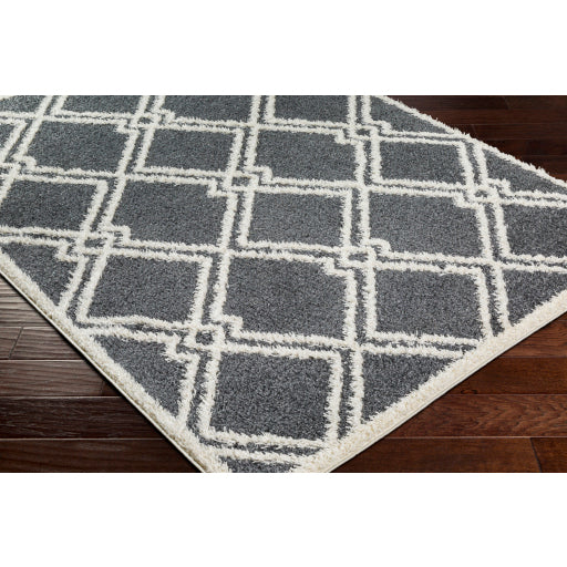 Surya Rodos RDO-2315 Charcoal Modern  Rug