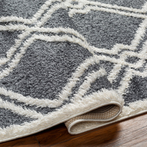 Surya Rodos RDO-2315 Charcoal Modern  Rug