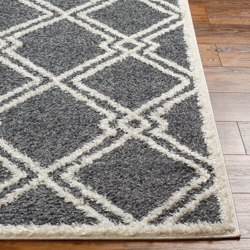 Surya Rodos RDO-2315 Charcoal Modern  Rug