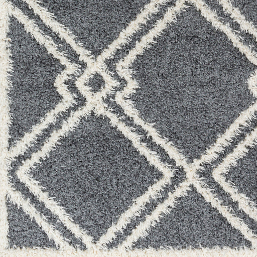 Surya Rodos RDO-2315 Charcoal Modern  Rug