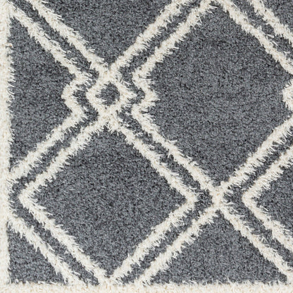 Surya Rodos RDO-2315 Charcoal Modern  Rug