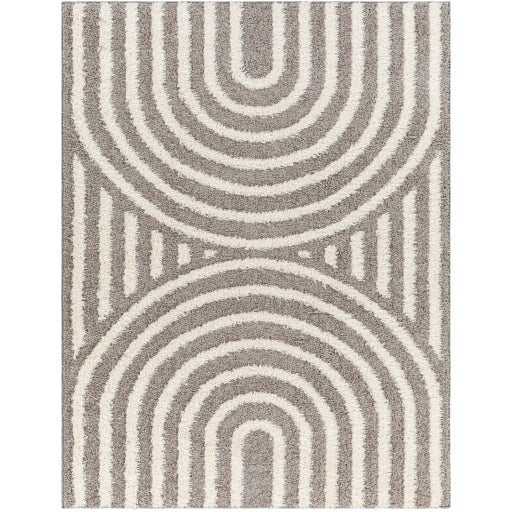 Surya Rodos RDO-2329 Charcoal Modern  Rug