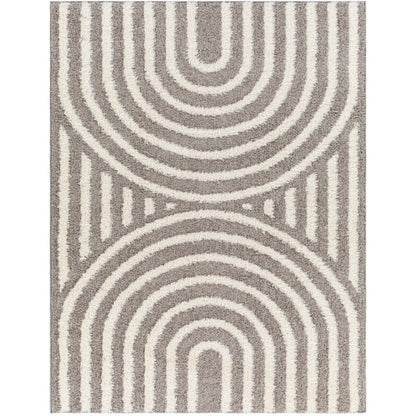 Surya Rodos RDO-2329 Charcoal Modern  Rug