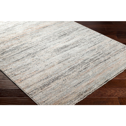 Surya Rojin ROJ-2300 Oatmeal Modern  Rug