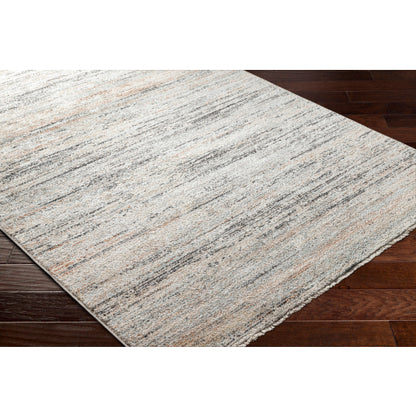 Surya Rojin ROJ-2300 Oatmeal Modern  Rug