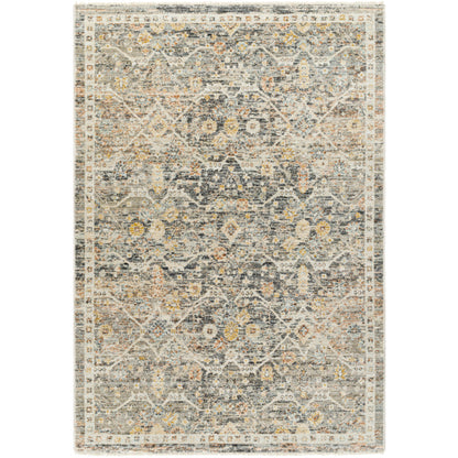 Surya Rojin ROJ-2301 Oatmeal Traditional  Rug