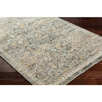 Surya Rojin ROJ-2301 Oatmeal Traditional  Rug